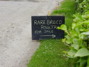 A sign outside my old smallholding.